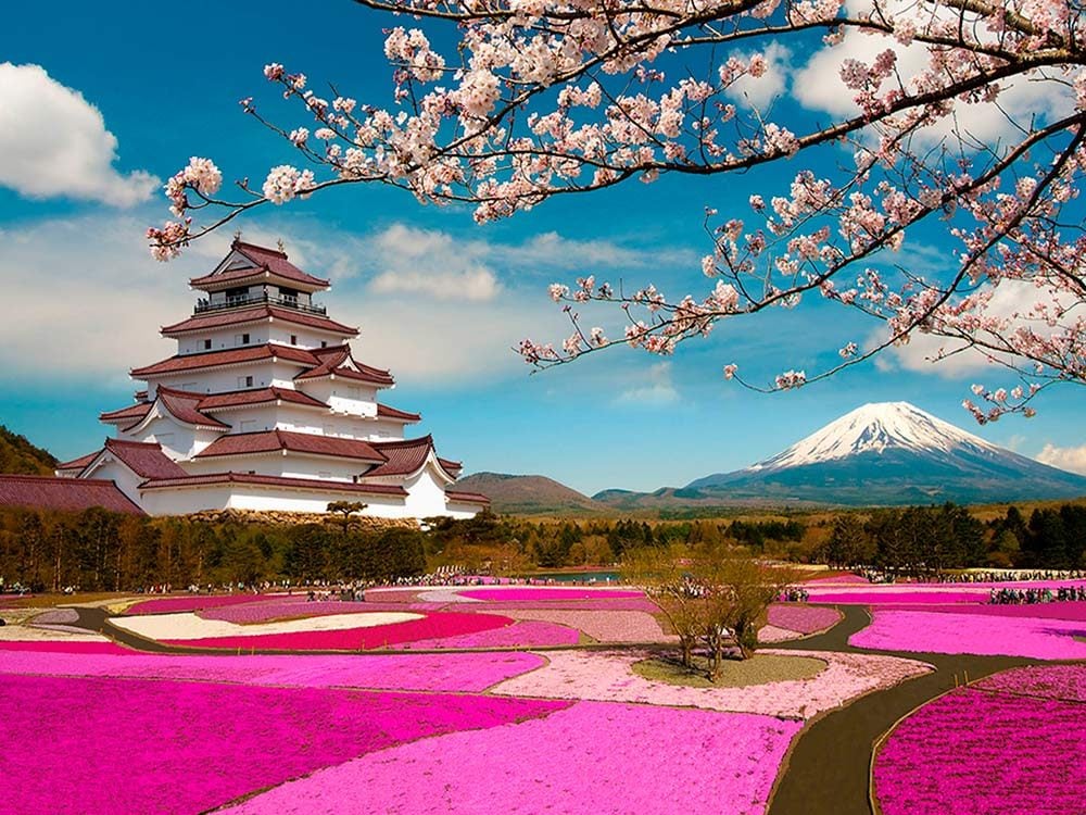 Temple and field in Japan