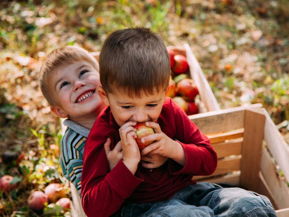 Children apple picking