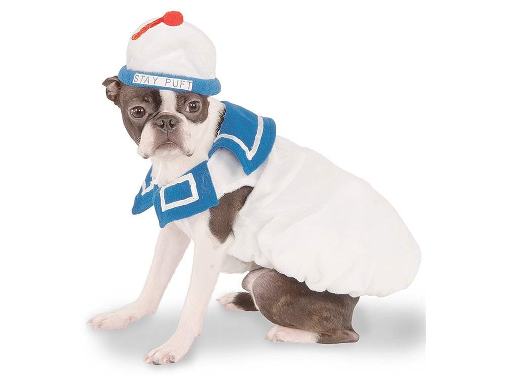 Dog dressed up as Stay Puft Marshmallow Man from Ghostbusters