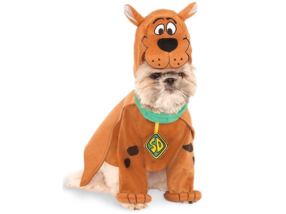 Dog dressed up as Scooby Doo