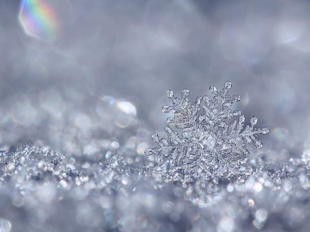 Snowflake close-up