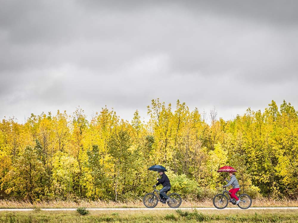 Bike trail in fall