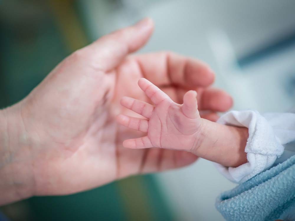 Premature baby's hands