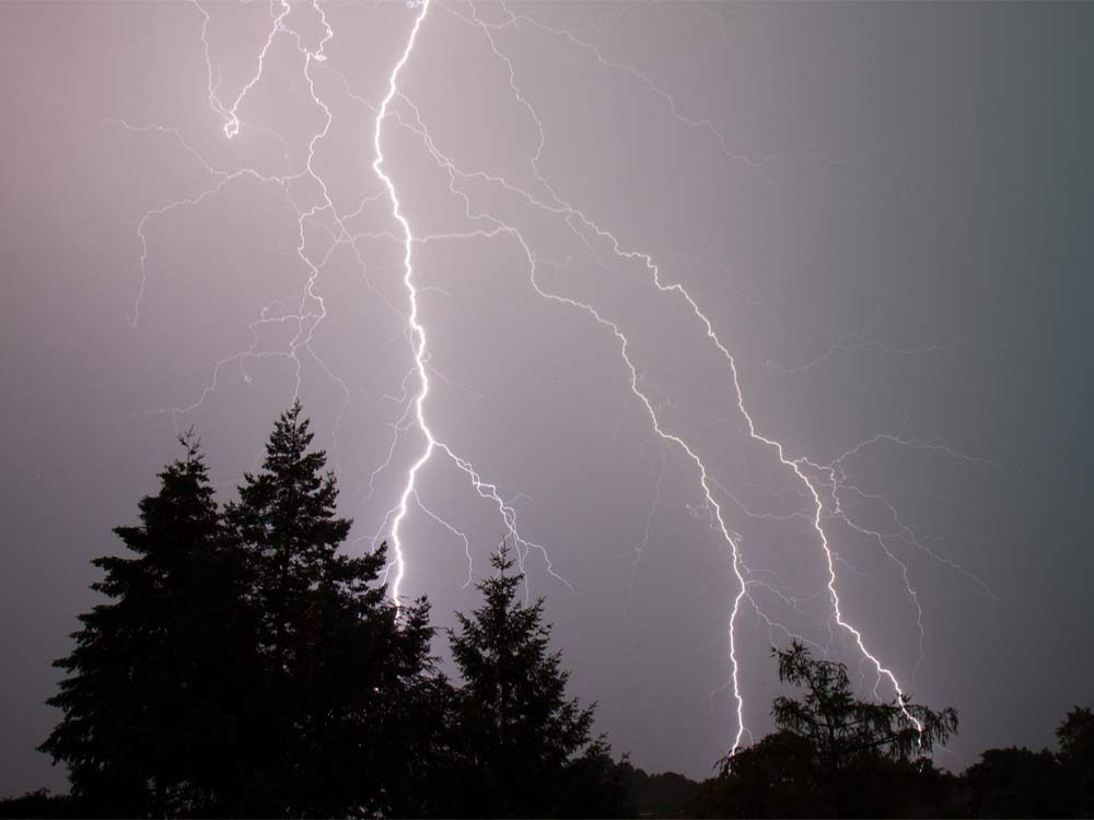 Lightning strikes tree