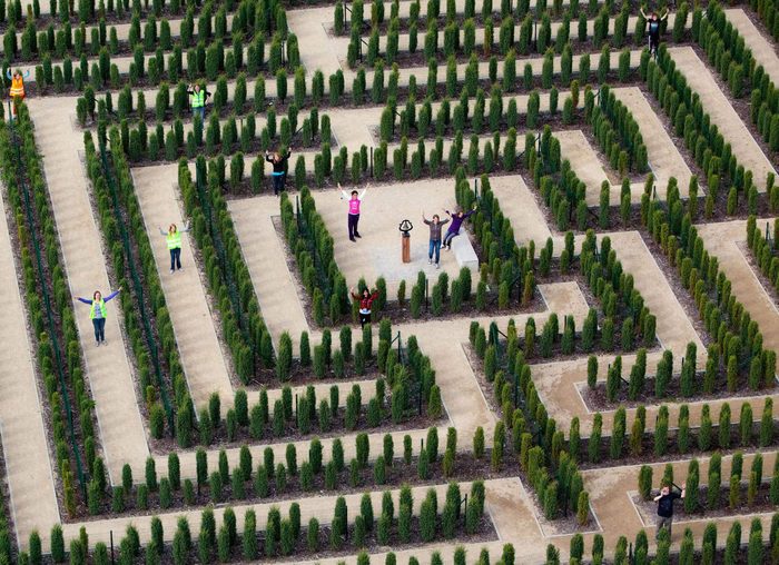 Teichland Maze, Germany
