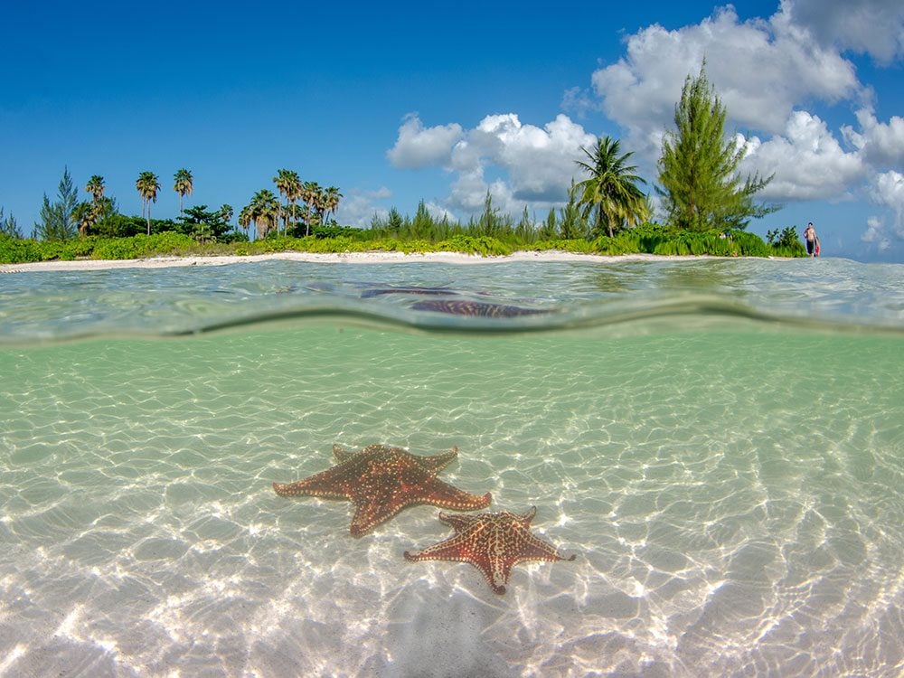 Starfish Point, Cayman Islands