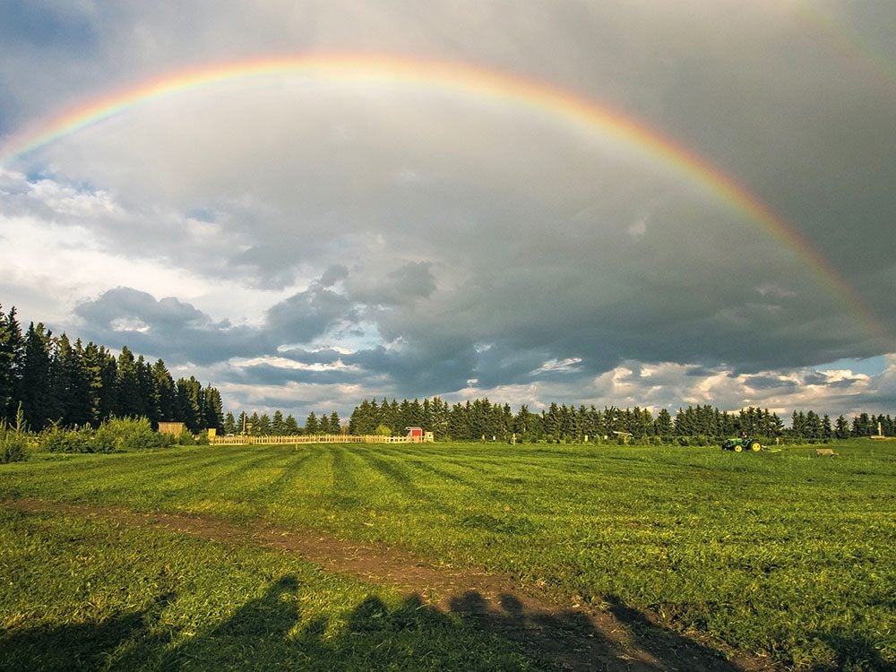 Rainbow in Alberta