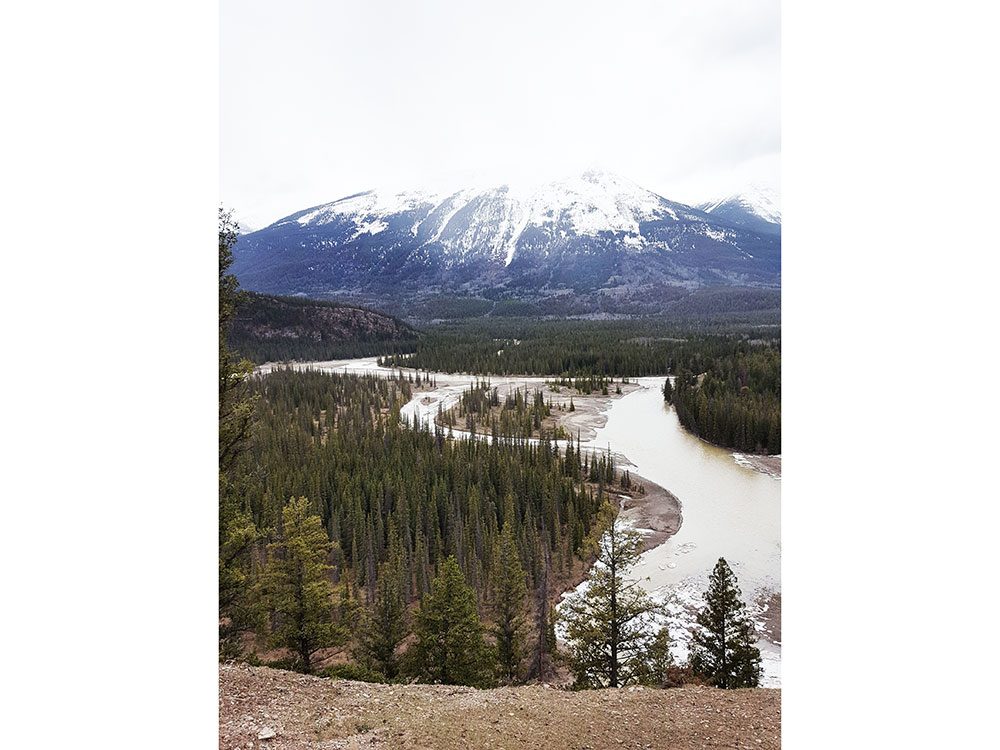 Athabasca River, Jasper National Park