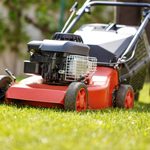 Here’s Why You Shouldn’t Mow Your Lawn Every Week