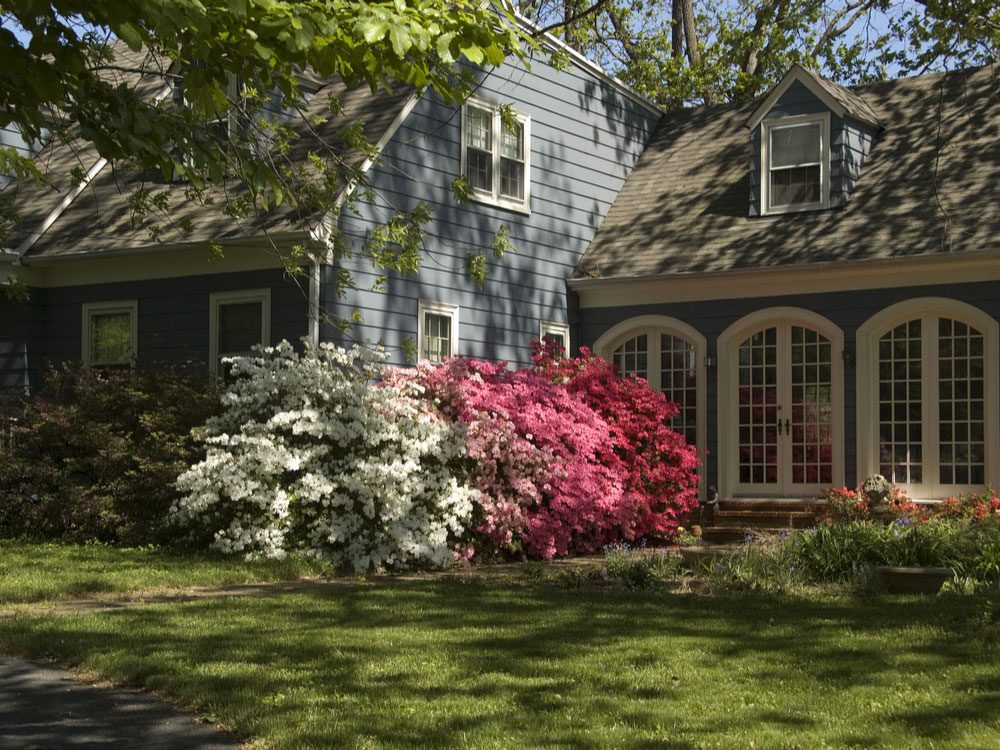 Pretty old house with azaleas in front