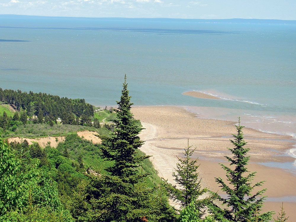 Gran río de salmones en el Fundy Trail Parkway de Nueva Brunswick