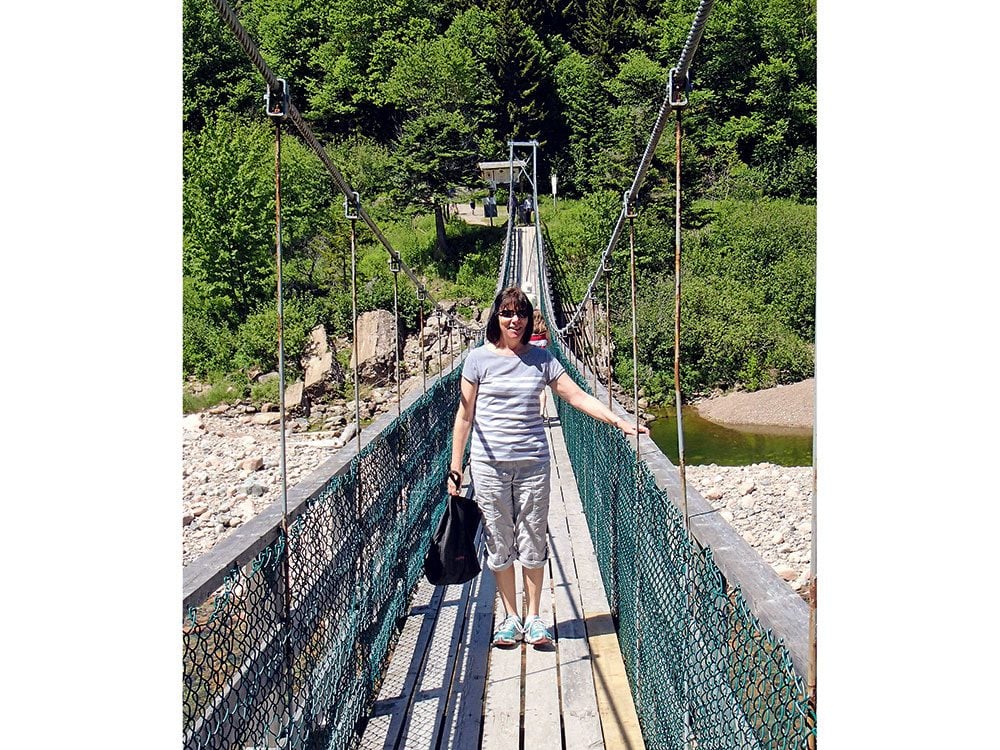 Fondo Gran Puente Sobre El Río Salmón En Fundy Trail Parkway Foto