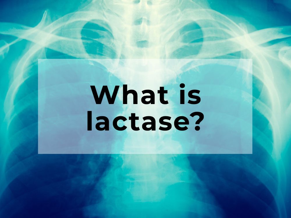 What is lactase?