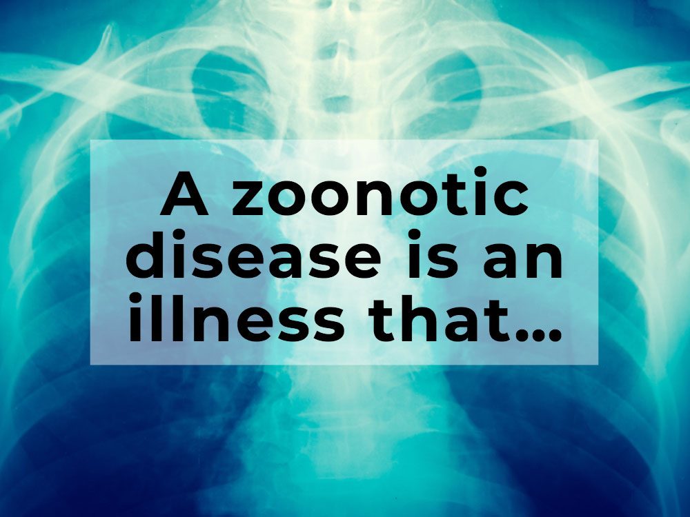 What is a zoonotic disease?