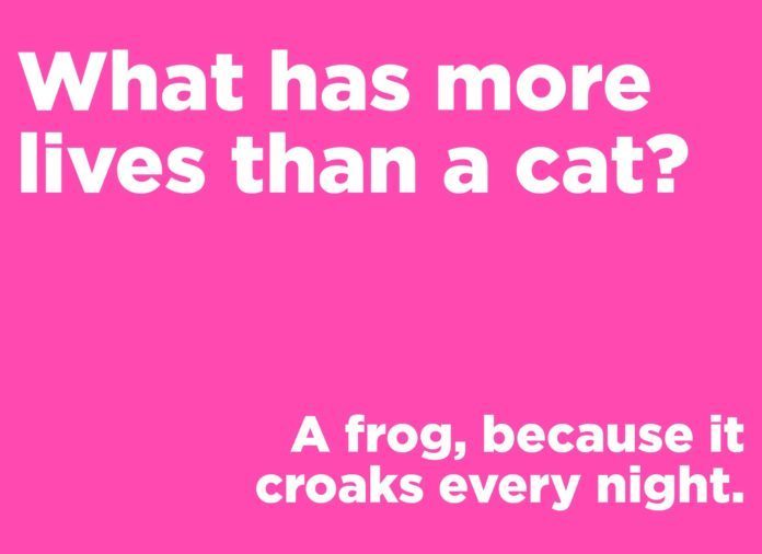 Corny jokes - what has more lives than a cat?