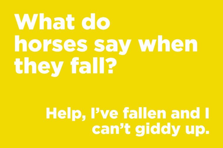 Funny jokes to tell - what do horses say when they fall?