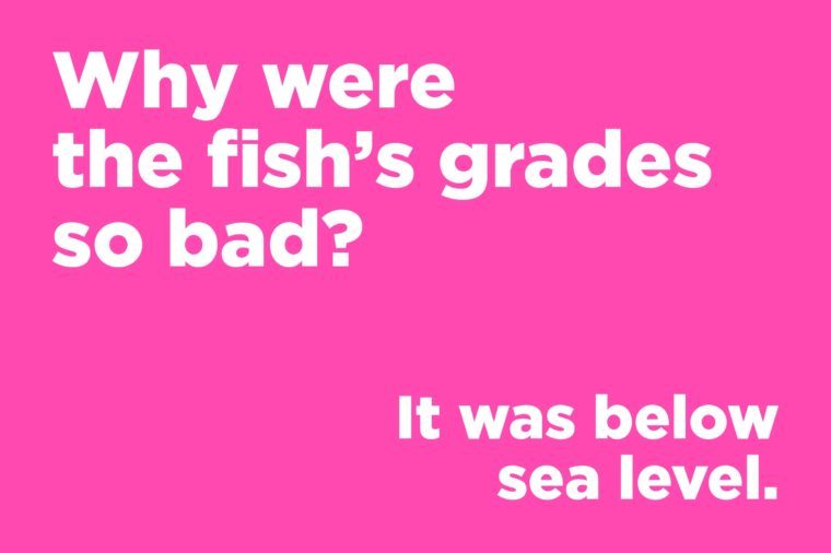 Funny jokes to tell - why were the fish's grades so bad?