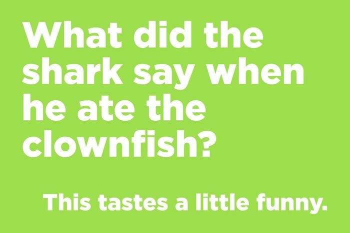 Shark joke