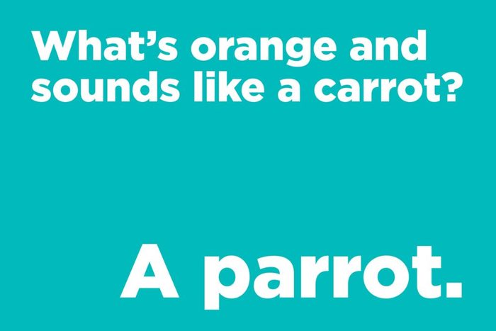 What's orange and sounds like a carrot?