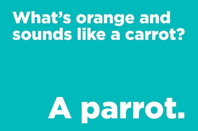 What's orange and sounds like a carrot?