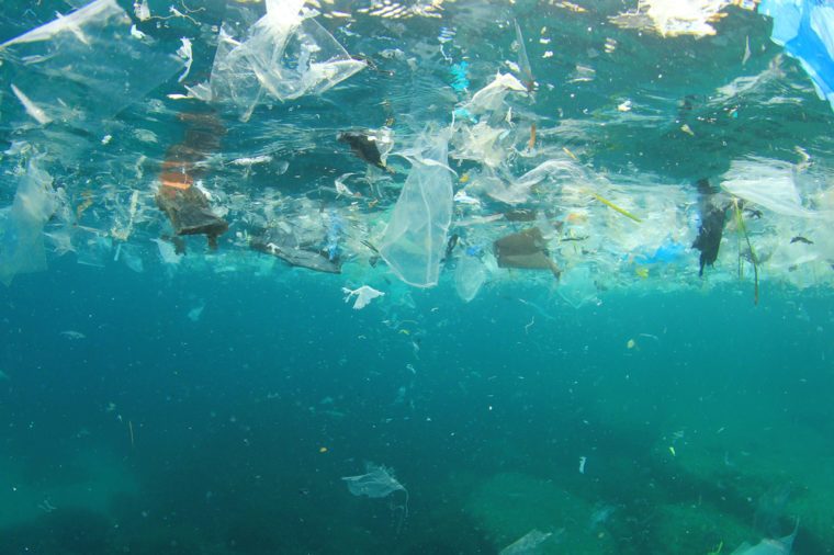 Microplastic impacts marine life