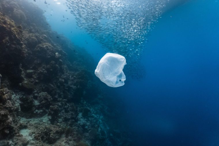 Ocean plastic is rising dramatically