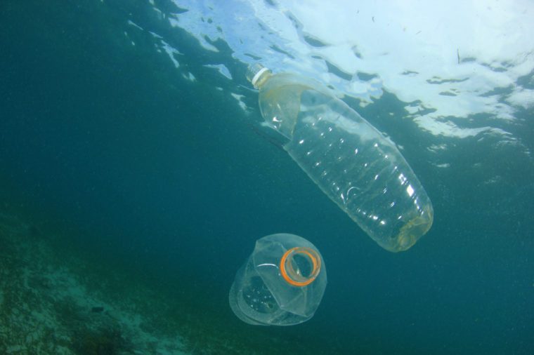 Plastic ends up in our oceans