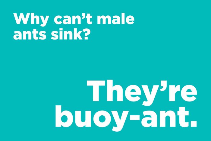 Why can't male ants sink?