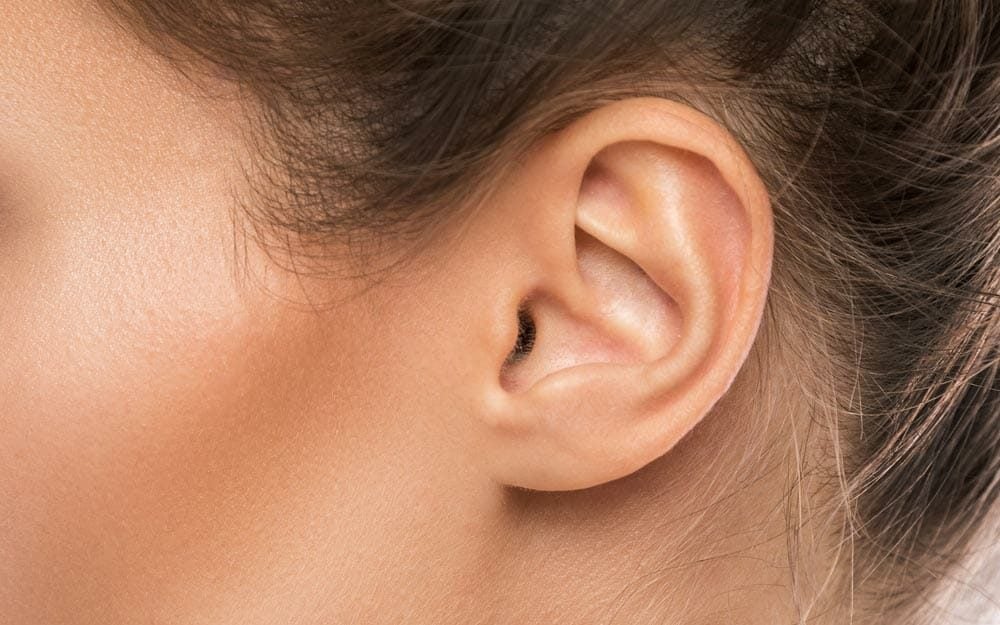 Close-up of female ear