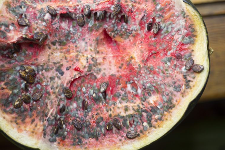 Mechanics found a rotten watermelon in a car