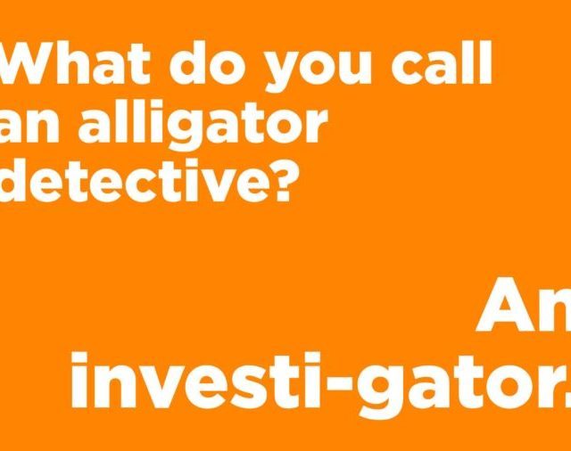 alligator detective