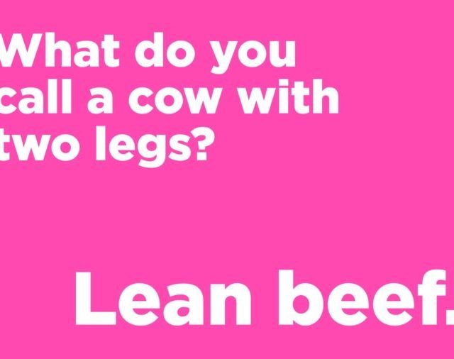 cow two legs
