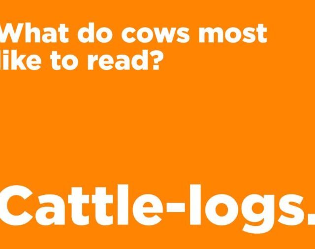 cows like to read