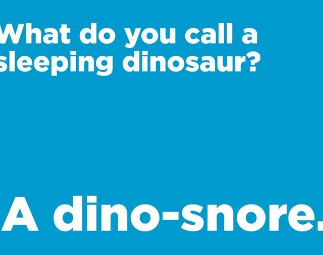 sleeping dinosaur