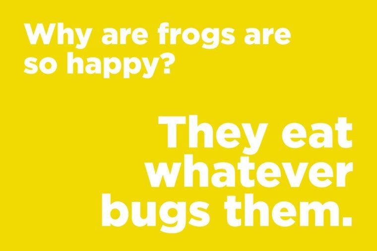 frogs happy