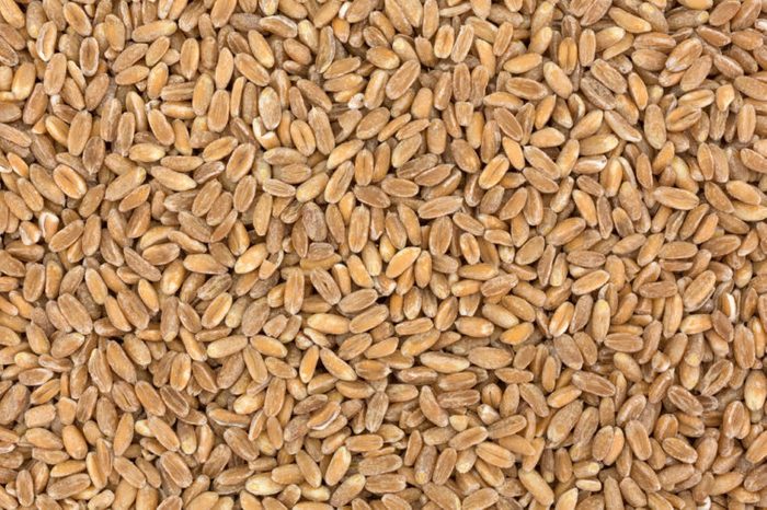 A very close view of farro organic grain.