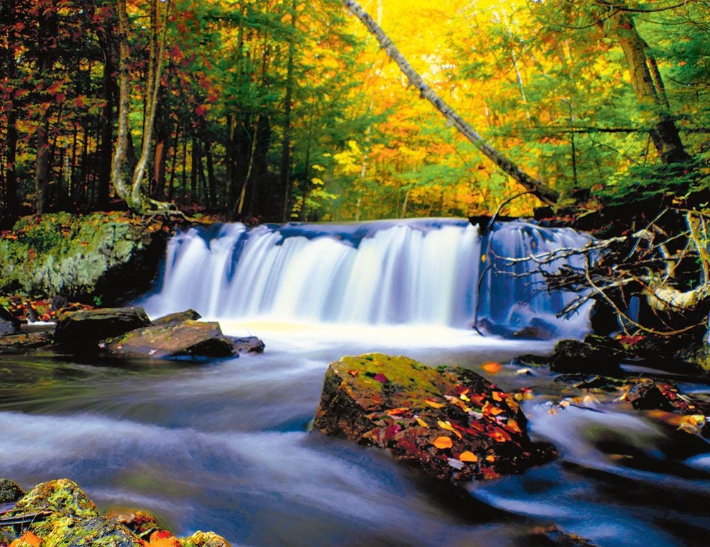 Autumn in Canada - flowing stream
