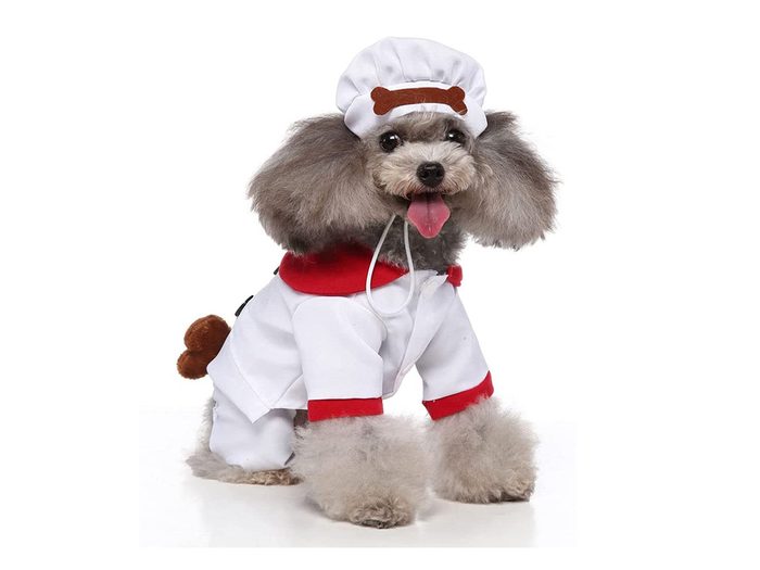 Dogs In Halloween Costumes Chef