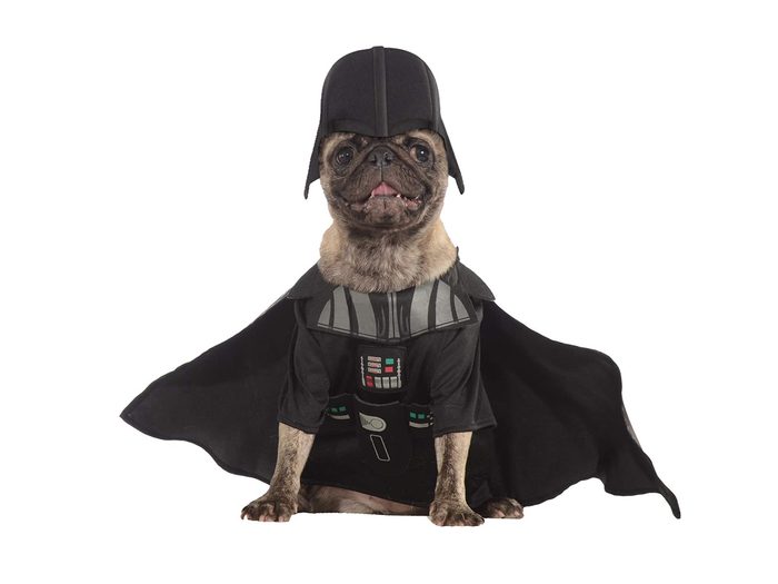 Dogs in Halloween Costumes Star Wars