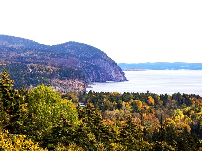 Fall leaves Canada - Bay of Fundy New Brunswick