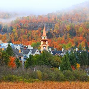 Best places to see fall colours in Canada - Mont Tremblant leaves