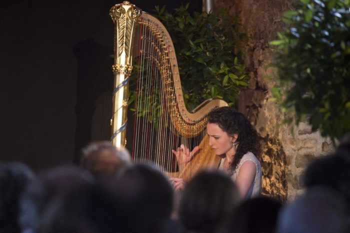 Anne Denholm just appointed asofficial harpist to Prince Charles