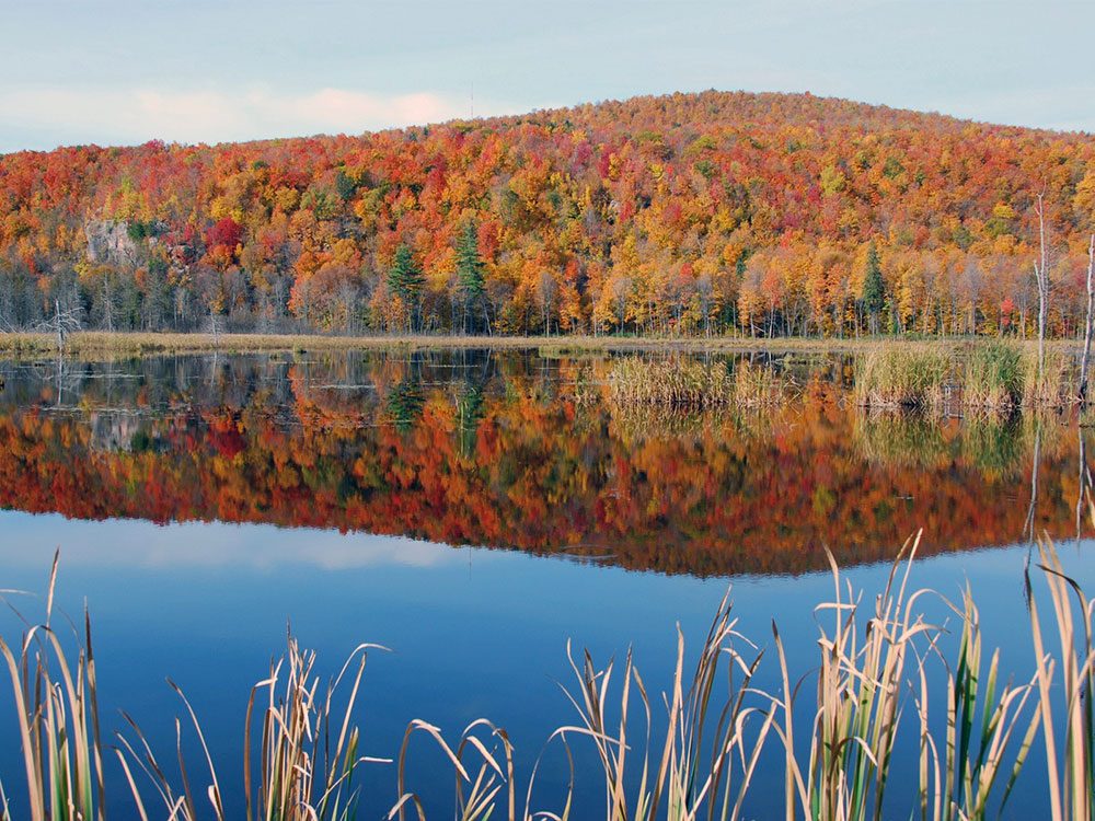 Fall landscape in Canada