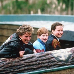 Princess Diana, Prince Harry and Prince William as kids