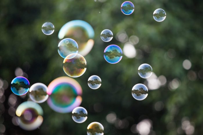 Soap Bubbles in front of the forest 