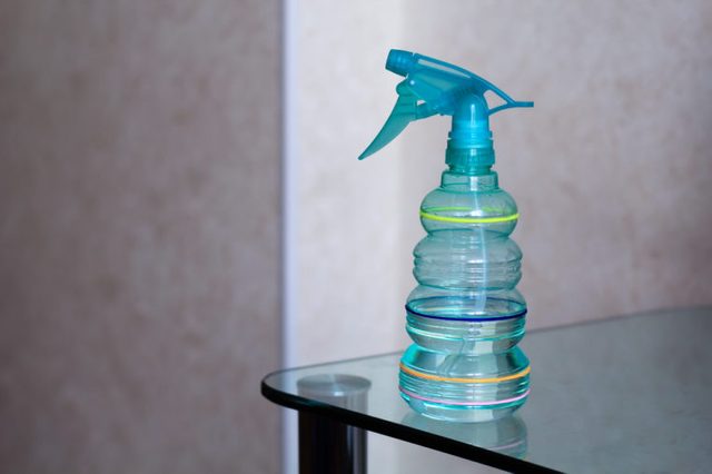 spray bottle for household and gardening 