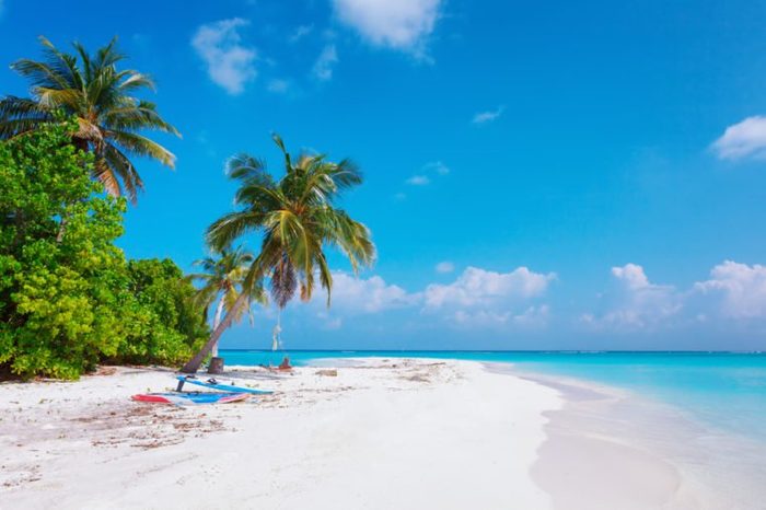 Scenic view of Wild idyllic Beach at Maldives island Fulhadhoo with white sandy beach and sea and curve palm
