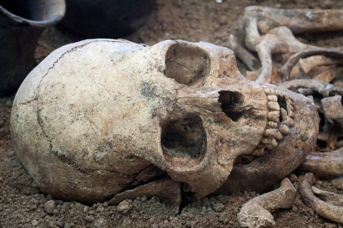 Archaeological excavations of an ancient human homo sapiens man reasonable Neanderthal bones skeleton and human skull
