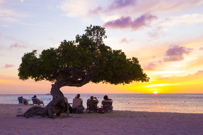 EAGLE BEACH, ARUBA - MARCH 15, 2017: View of Eagle Beach, Aruba at sunset with Divi Divi tree and tourists.
