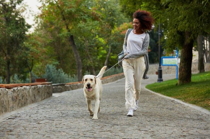 Funny healthy african lady running in the morning with her dog in park in the morning